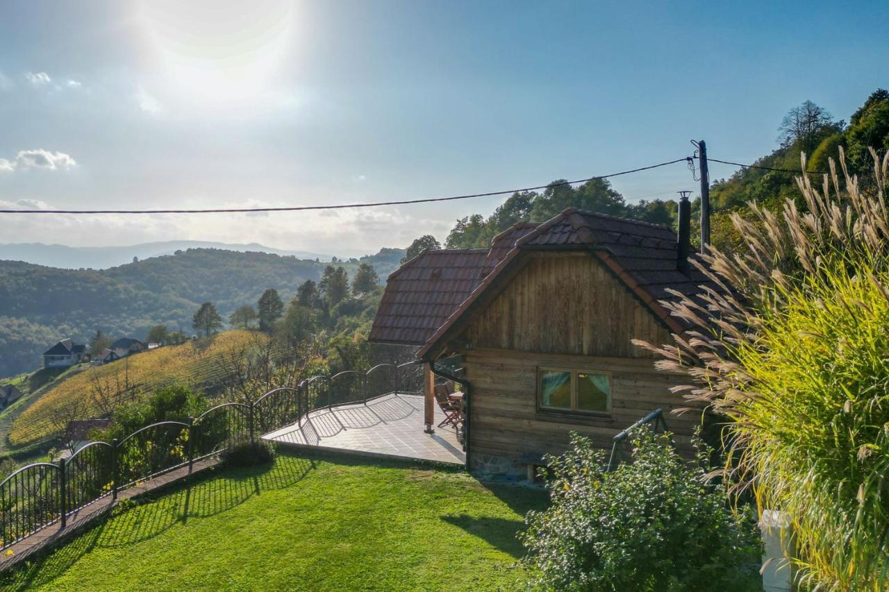 Vineyard Chalet Hansel And Gretel - Happy Rentals Otočec エクステリア 写真